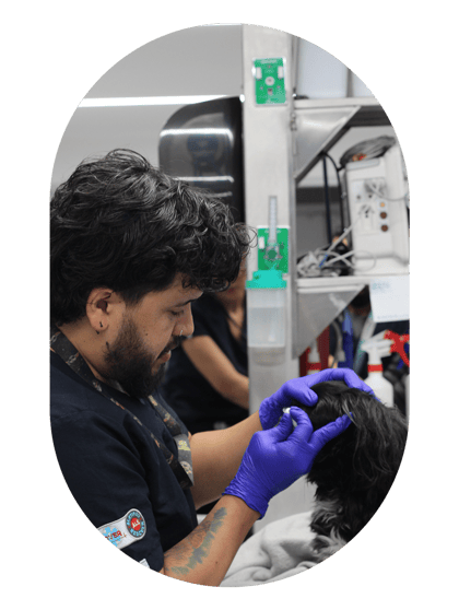 especialista-oftalmologo-veterinario-hospital-1