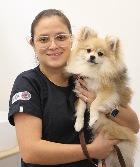 rehabilitacion-veterinaria-postoperatoria-hospital-medellin