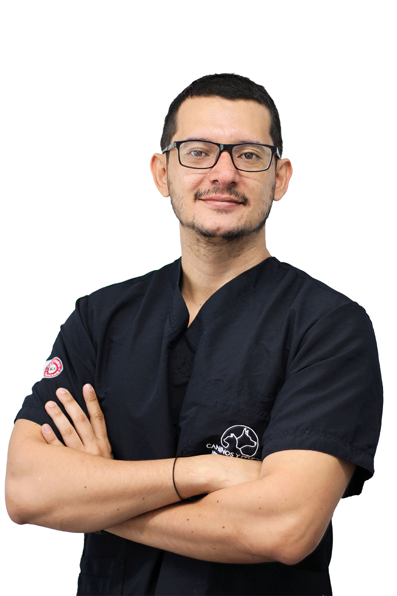 David_Solaque